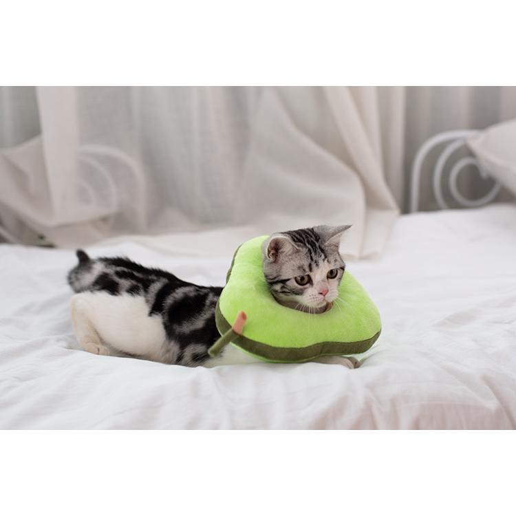 猫 犬 エリザベスカラー 手術後傷口保護 傷舐め防止 花 (M) エリザベスカラー 猫 犬 傷舐め防止 アボカド 傷口保護 手術後のケア