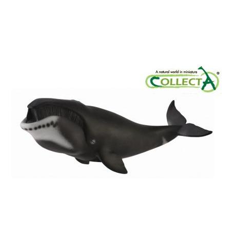 88652　ホッキョククジラ　Bowhead Whale 【コレクタ】｜t-jnky