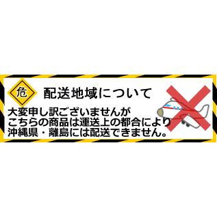 Castrol（カストロール） ディーラー専売品 MAGNATEC PROFESSIONAL