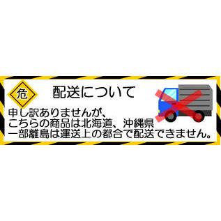 DAYTONA（デイトナ） ハイパフォーマンスバッテリー DYTX20HL-BS MF