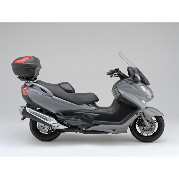 DAYTONA (デイトナ) GIVI SR3104MM スペシャルキャリア  94038の画像