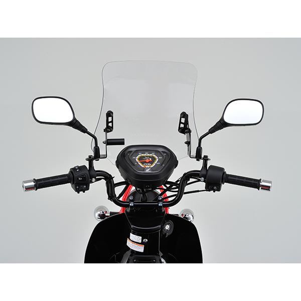 専用です　2枚 DAYTONA（バイク用品） DAYTONA (デイトナ) ウインドシールドRS