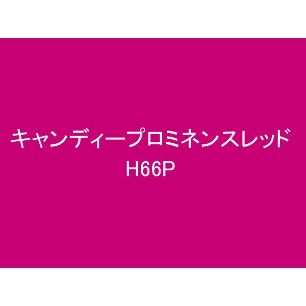 DAYTONA（デイトナ） イージーリペア H66E キャンディープロミネンス