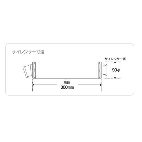 REALIZE（リアライズ） EXIST（イグジスト） Ti チタンマフラー PCX