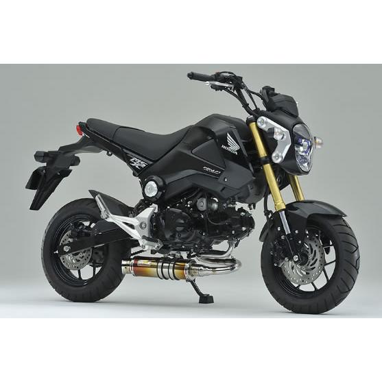 REALIZE Realize(リアライズ) Laguna(ラグナ) チタンマフラー