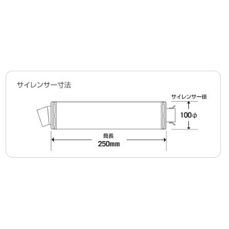 REALIZE（リアライズ） 100φ 砲弾マフラー Type-3 250TR 804-001-02