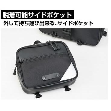 TANAX（タナックス） キャンピングシートバッグXL MFK-1004（ブラック