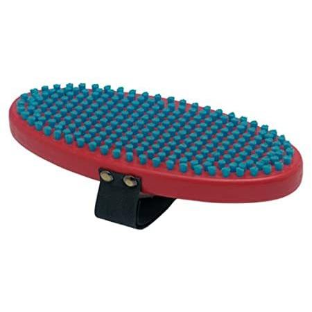 SWIX(スウィックス) オーヴァルブラシ・ナイロンポリッシュブラシ T0160O