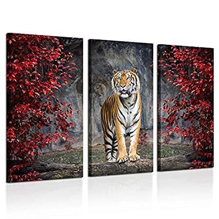 見つけた人ラッキー！ Kreative Arts - 大型3ピースキャンバス壁アートペイント キャンバス地に虎の写真を印刷 動物 家庭用 写真のアート作品 モダン装飾印刷
