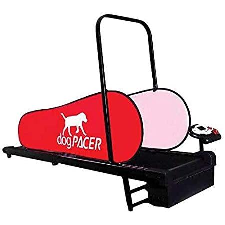 dogPACER LF 3.1 Folding Fitness Dog Treadmill For Dogs Up to 179 lbs by dog