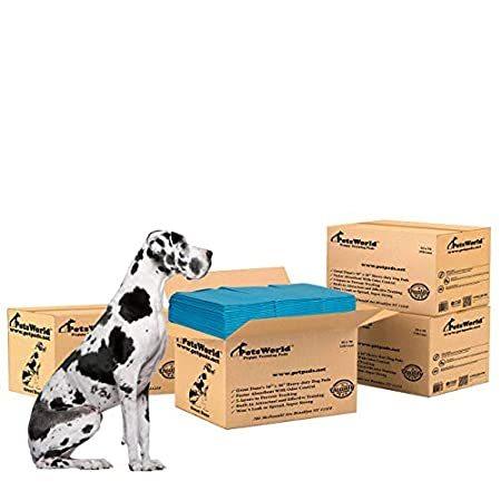 PETSWORLD Great Dane's Training Giant Pads, 36x36 inch, 600 Ct