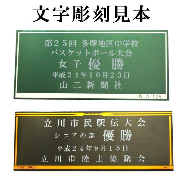 フリーセレクションブロンズトロフィーbrz 2672 高さ177mm B 25 Brz 672 トロフィー生活 通販 Yahoo ショッピング