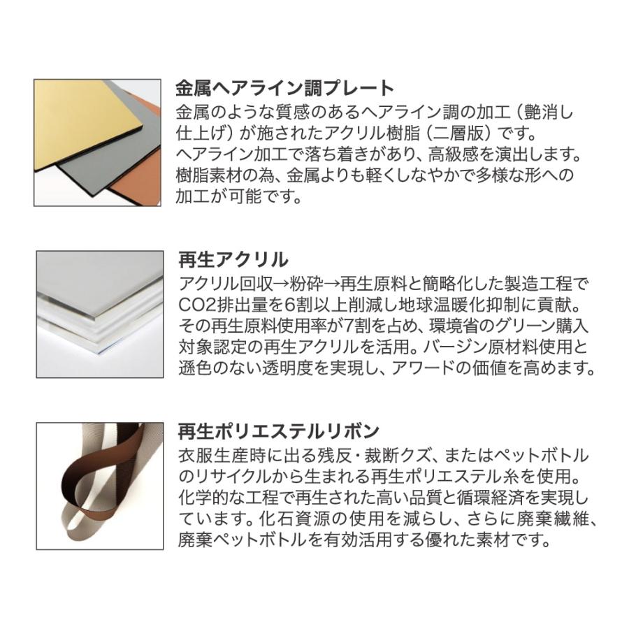 全品10倍！】ポイントup中-アクリルメダル シズク W-ZNA-9106 | メダル