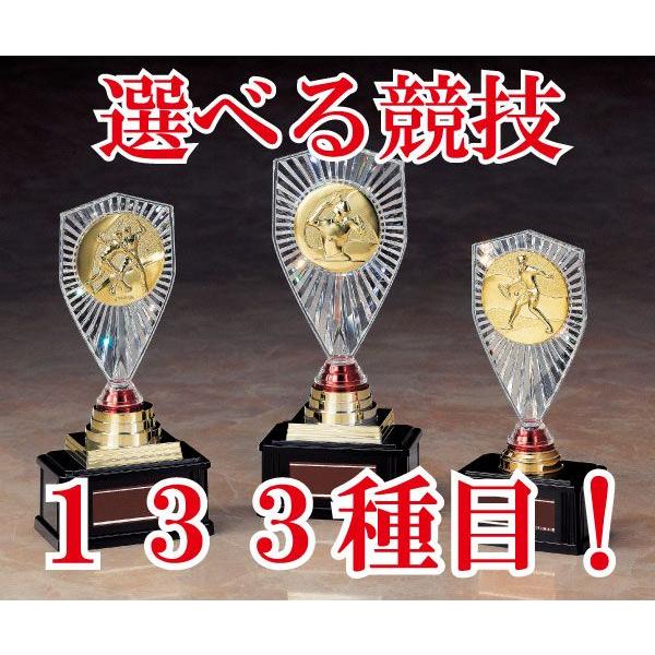 フリーセクショントロフィーtrz 2393c 高さ185mm B 26 Trz 393c トロフィー生活 通販 Yahoo ショッピング