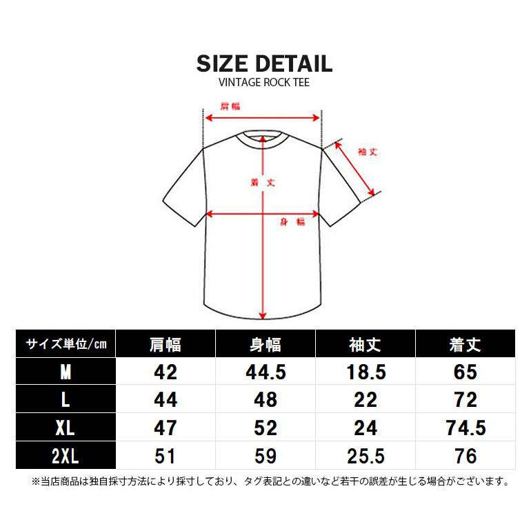 ヴィンテージロックtシャツ バンドtシャツ パンク ザ ストーン