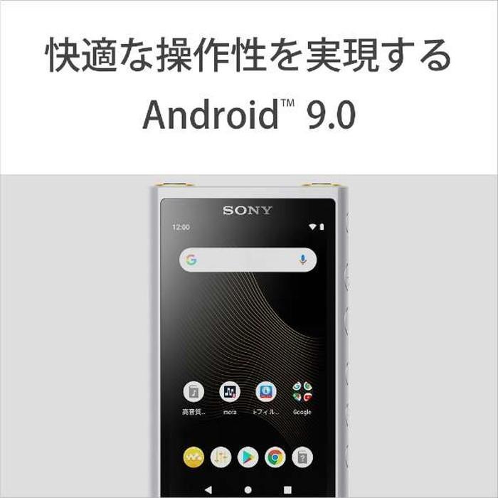 【専用】SONY TAF5000 シルバー SONY ソニー デジタル パワードミキサー SRP-X500P シルバー