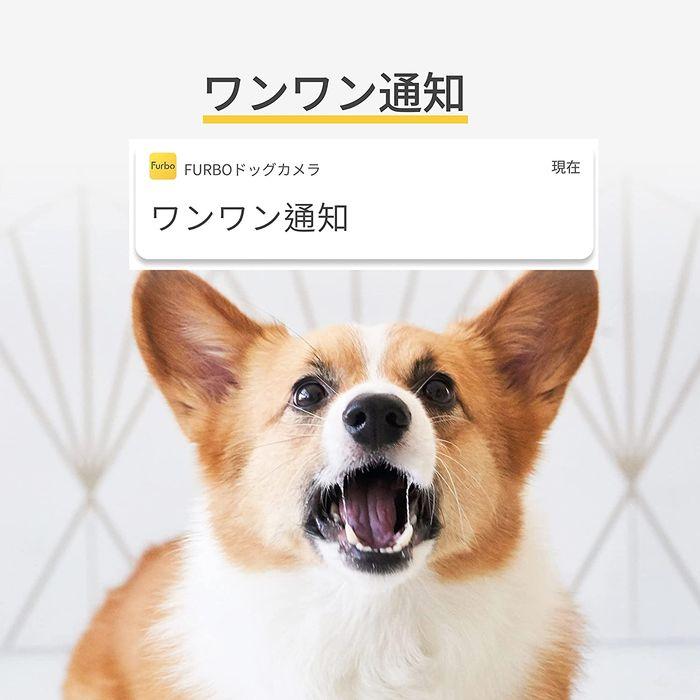 Furbo ドッグカメラ 飛び出すおやつ 2Wayオーディオ iOS Android対応 AI搭載｜t-mall-tfn｜06