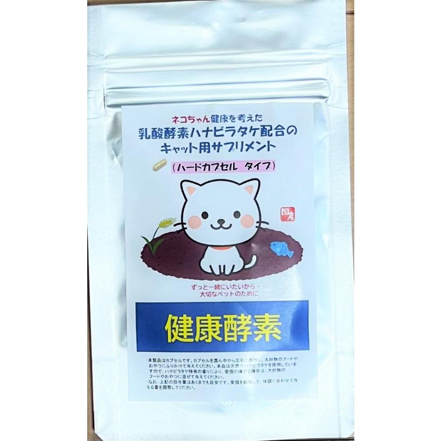 乳酸発酵ハナビラタケの商品一覧 通販 - Yahoo!ショッピング