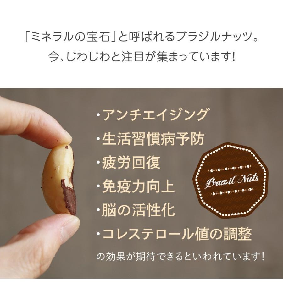 生ブラジルナッツ ナッツオンライン東京 スーパーフード 生ブラジルナッツ 0g 2 無塩 無添加 抗酸化物質セレン １日１粒ブラジルナッツ ナッツ専門店 ナッツオンライン東京 通販 Yahoo ショッピング