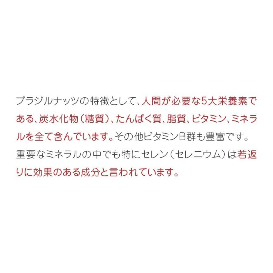 生ブラジルナッツ ナッツオンライン東京 スーパーフード 生ブラジルナッツ 0g 2 無塩 無添加 抗酸化物質セレン １日１粒ブラジルナッツ ナッツ専門店 ナッツオンライン東京 通販 Yahoo ショッピング