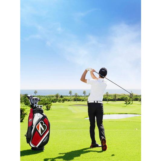 ハイネックシャツ メンズ アルティコア ブリヂストン ゴルフ ULTICORE BRIDGESTONE GOLF 2025 春夏 新作 ゴルフウェア ebm04a | ブランド登録なし | 03