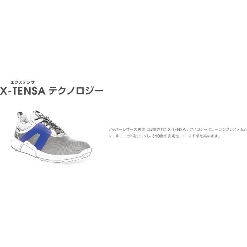 ecco 【ポイント10倍】【30％OFFセール】ゴルフシューズ メンズ
