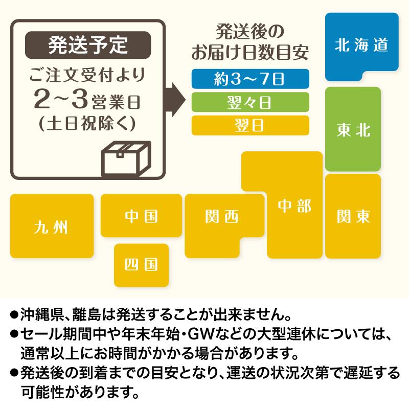 弁当箱 高級 80 55黄鈴ワンピース 紙箱 中仕切りセット 300枚 懐石 和食 仕出し 使い捨て お弁当箱 テイクアウト H00 Minimilks Com
