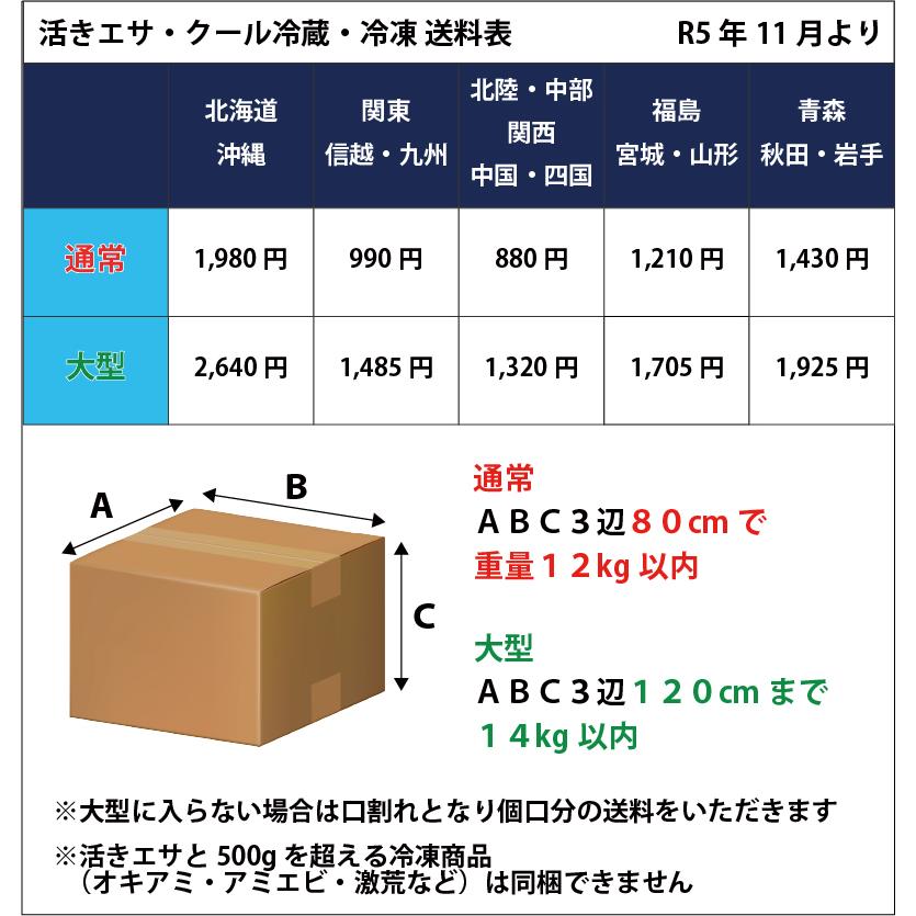 冷凍エサ　マルキュー　くわせキビナゴ　刺し餌　ツケエサ　014162｜t-port｜02