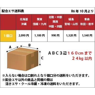 DAIWA（ダイワ） 配合エサ アミノXグレ遠投 メガブルーSP 906791