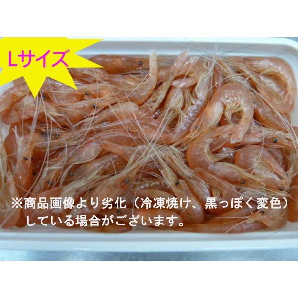 えびになります。 23- ZX-25R Slip-On Exhaust BLADE 発売 – モリワキエンジニアリング