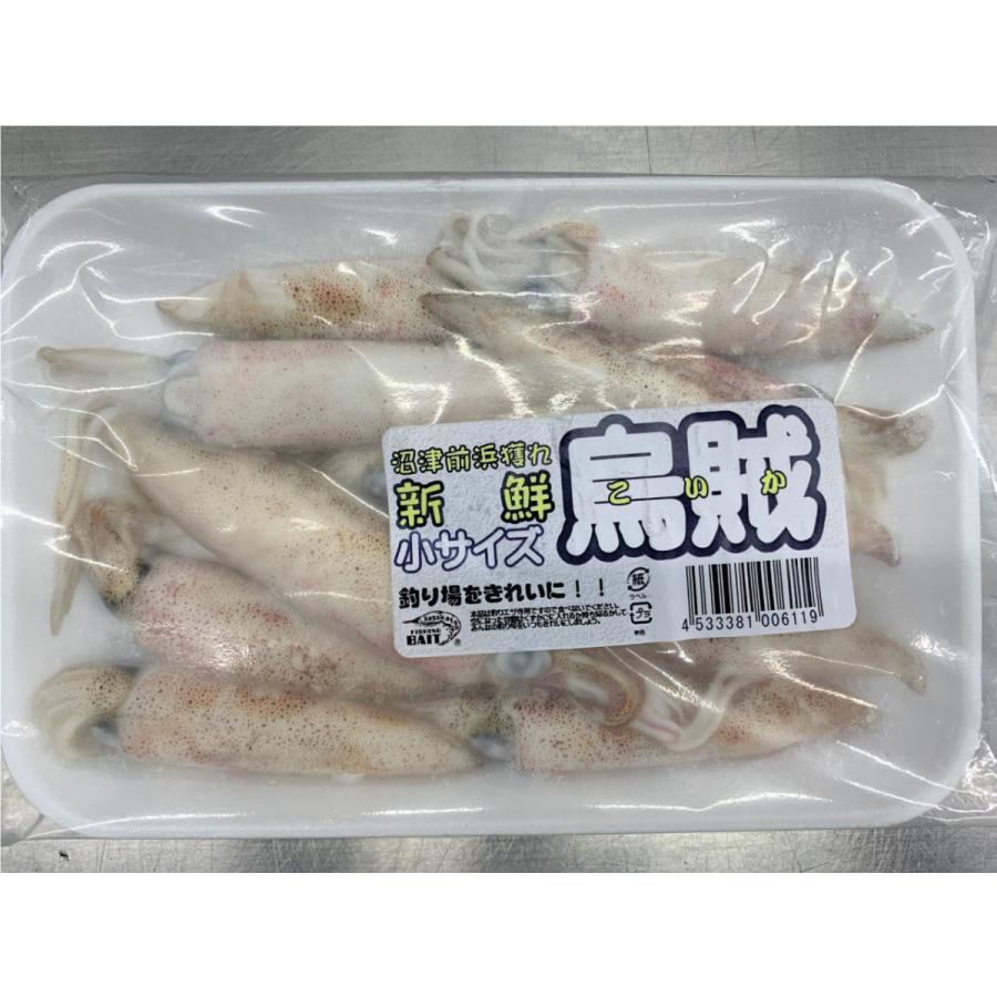 冷凍エサ 新鮮小イカ 小サイズ ポイント全額払い不可 Cest0013 フィッシングショップtポート 通販 Yahoo ショッピング