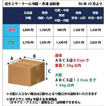 111-113] スーパー青虫（青イソメ） 1kg 釣り餌 超お得！ 【完全