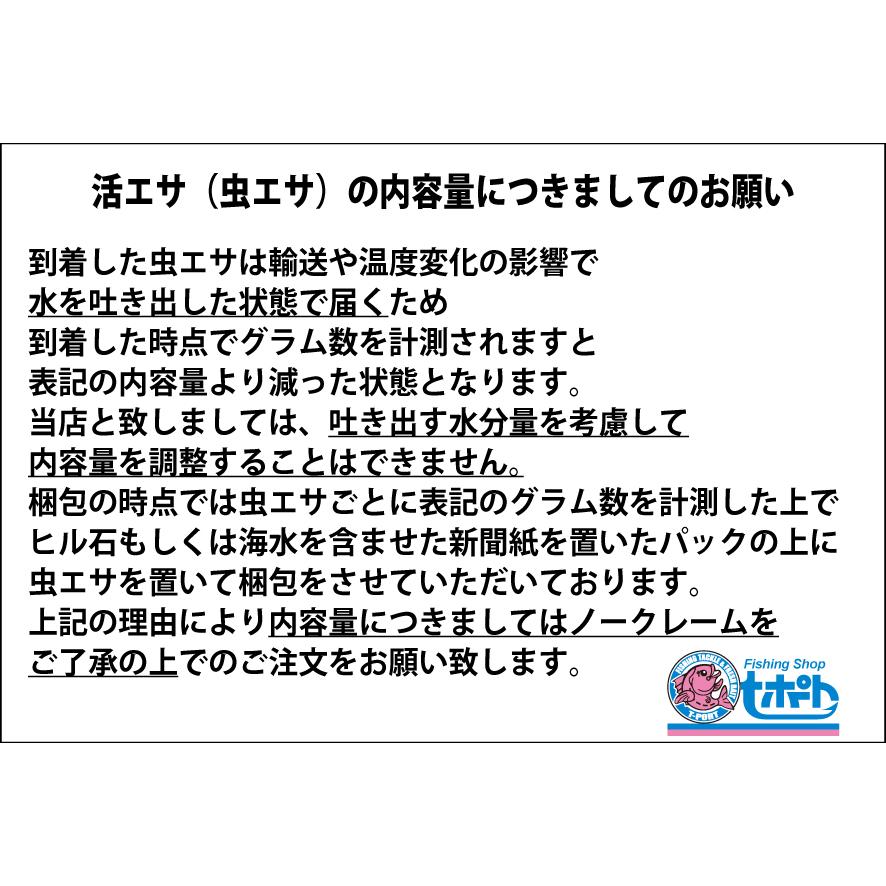 111-113] スーパー青虫（青イソメ） 1kg 釣り餌 超お得！ 【完全