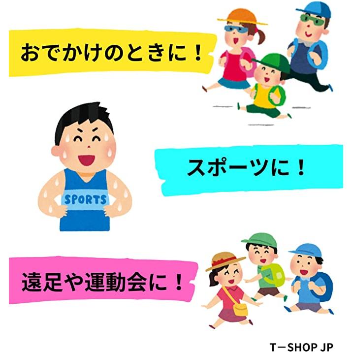 カバヤ 塩分チャージタブレッツ 2種アソート 約100粒 (賞味期限2026年11月/期限管理シール付) 大容量 業務用 シェアパック  kabaya 塩分チャージタブレット｜t-shopjapanonline2｜05