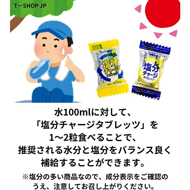 カバヤ 塩分チャージタブレッツ スポーツドリンク味 約100粒 (賞味期限2026年11月/期限管理シール付) 大容量 業務用 kabaya 塩分チャージタブレット｜t-shopjapanonline2｜04