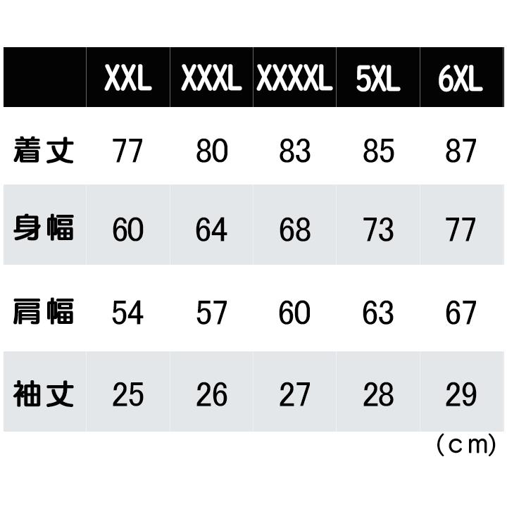 Tシャツ 大きいサイズ レディース メンズ ドライ 速乾 無地 半袖 ユナイテッドアスレ（United Athle) 4.1オンス 590001｜t-shrtjp｜08