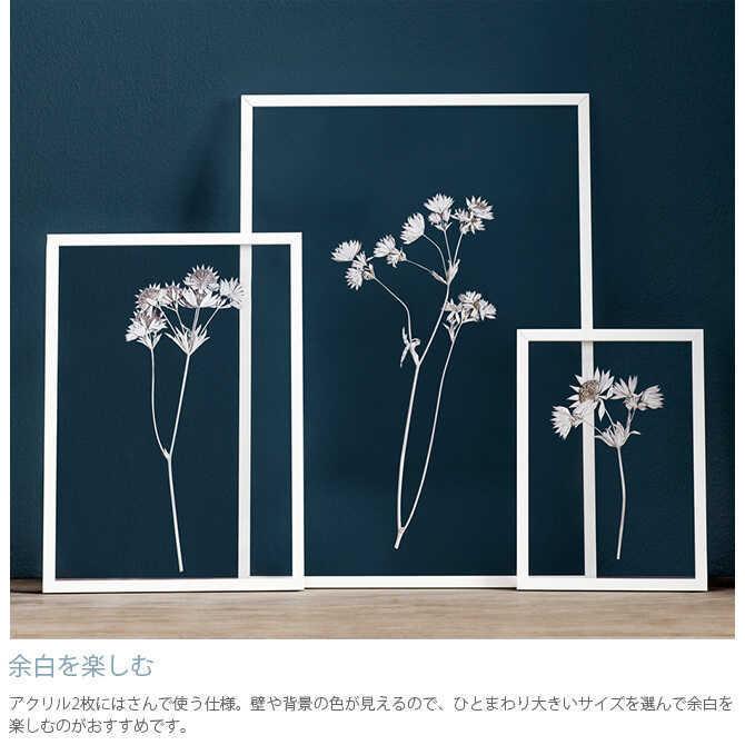 ポスターフレーム 北欧 おしゃれ A2 モノトーン MOEBE ムーベ FRAME