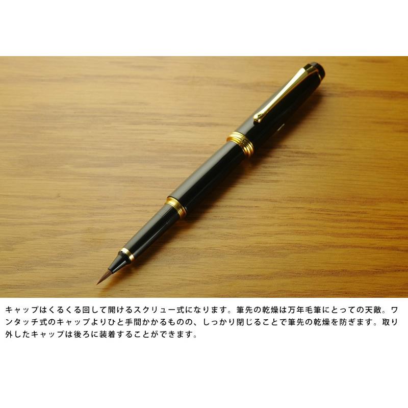 呉竹 万年毛筆 夢銀河 男性用 高級筆ペン 万年筆 日本製 DAY-140-11