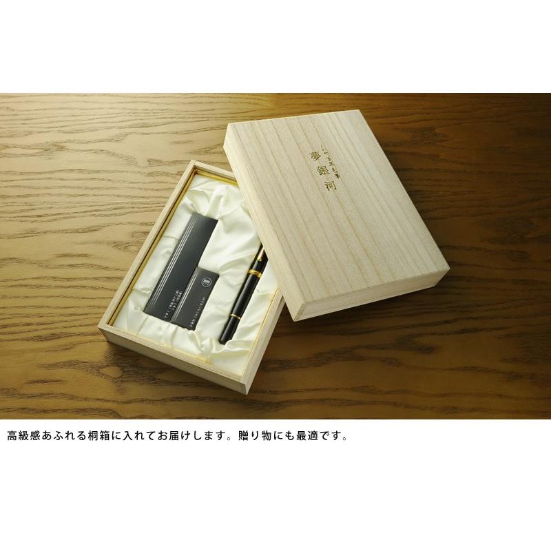 呉竹 万年毛筆 夢銀河 男性用 高級筆ペン 万年筆 日本製 DAY-140