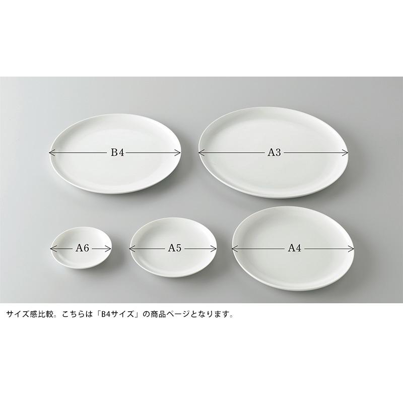 食器 おしゃれ 白 日本製 The ザ Plate White B4サイズ 直径25 7cm ホワイト お皿 シンプル 皿 国産 日本 白色 食事 料理 Ts メンズバッグ専門店 紳士の持ち物 通販 Yahoo ショッピング