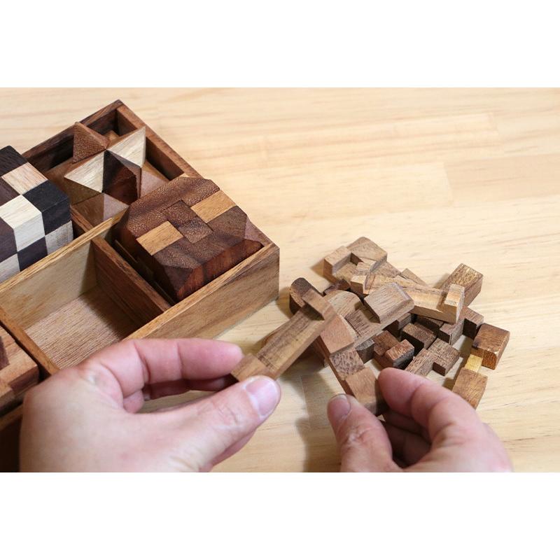 Rocks Motion 木製立体パズル 6個セット ケース入り Wood Puzzle