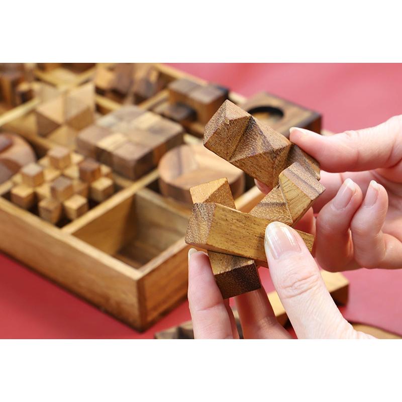 Rocks Motion 木製立体パズル 12個セット ケース入り Wood