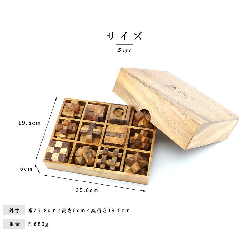 Rocks Motion 木製立体パズル 12個セット ケース入り Wood Puzzle｜t-style｜11