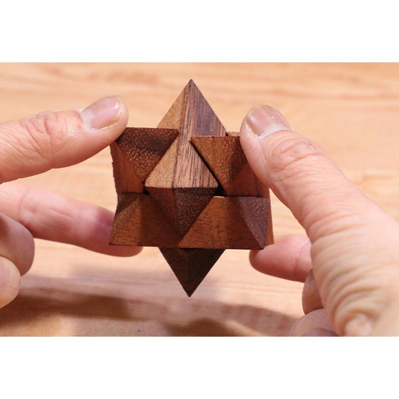 Rocks Motion 木製立体パズル 12個セット ケース入り Wood Puzzle｜t-style｜04