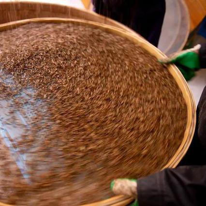 金駿眉 20g 竜眼香 きんしゅんび 高級紅茶 ちんちんめい 中国 金駿眉 20g 竜眼香 きんしゅんび 高級紅茶 ちんちんめい 中国