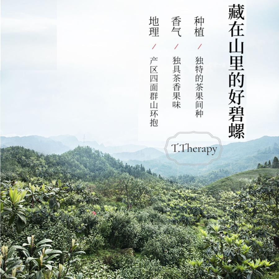 東山碧螺春 特級20g へきらしゅん 洞庭碧螺春 中国緑茶 : お茶と暮しの