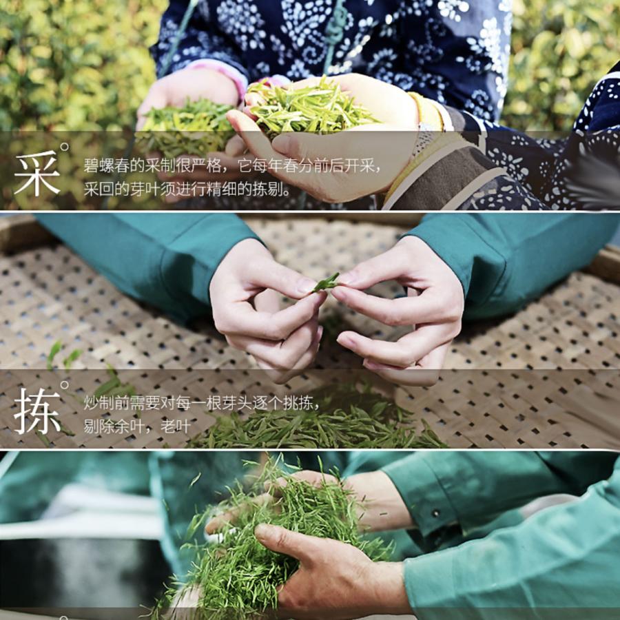 東山碧螺春 特級20g へきらしゅん 洞庭碧螺春 中国緑茶 : お茶と暮しの