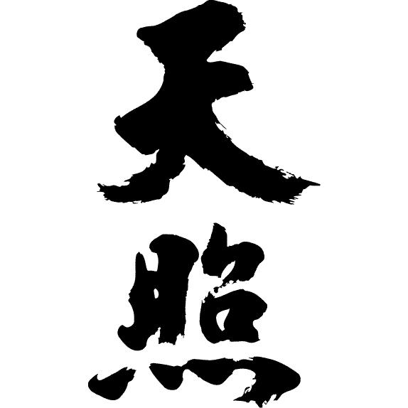 天照 縦書 書道家が書くかっこいい漢字tシャツ T Kanji A Amaterasu Tate T Time せとうち広告 通販 Yahoo ショッピング