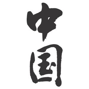 中国(縦書)”書道家が書くかっこいい漢字Tシャツ- : T-time せとうち