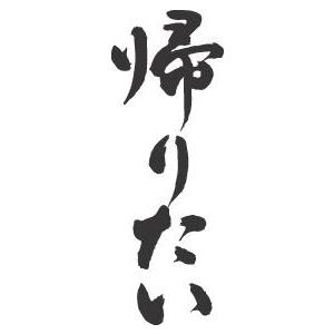 帰りたい 縦書 書道家が書くかっこいい漢字tシャツ T Kanji Kaeritai Tate T Time せとうち広告 通販 Yahoo ショッピング